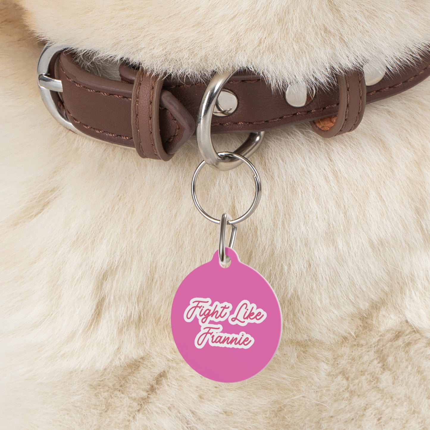 Fight Like Frannie Pet Tag