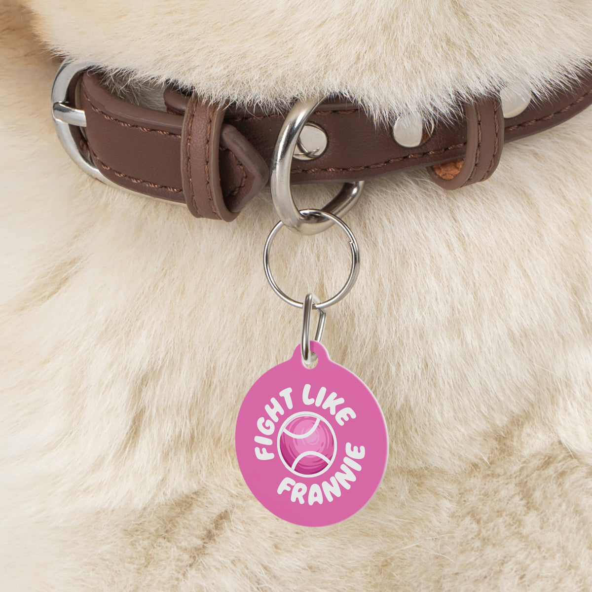 Fight Like Frannie Pet Tag