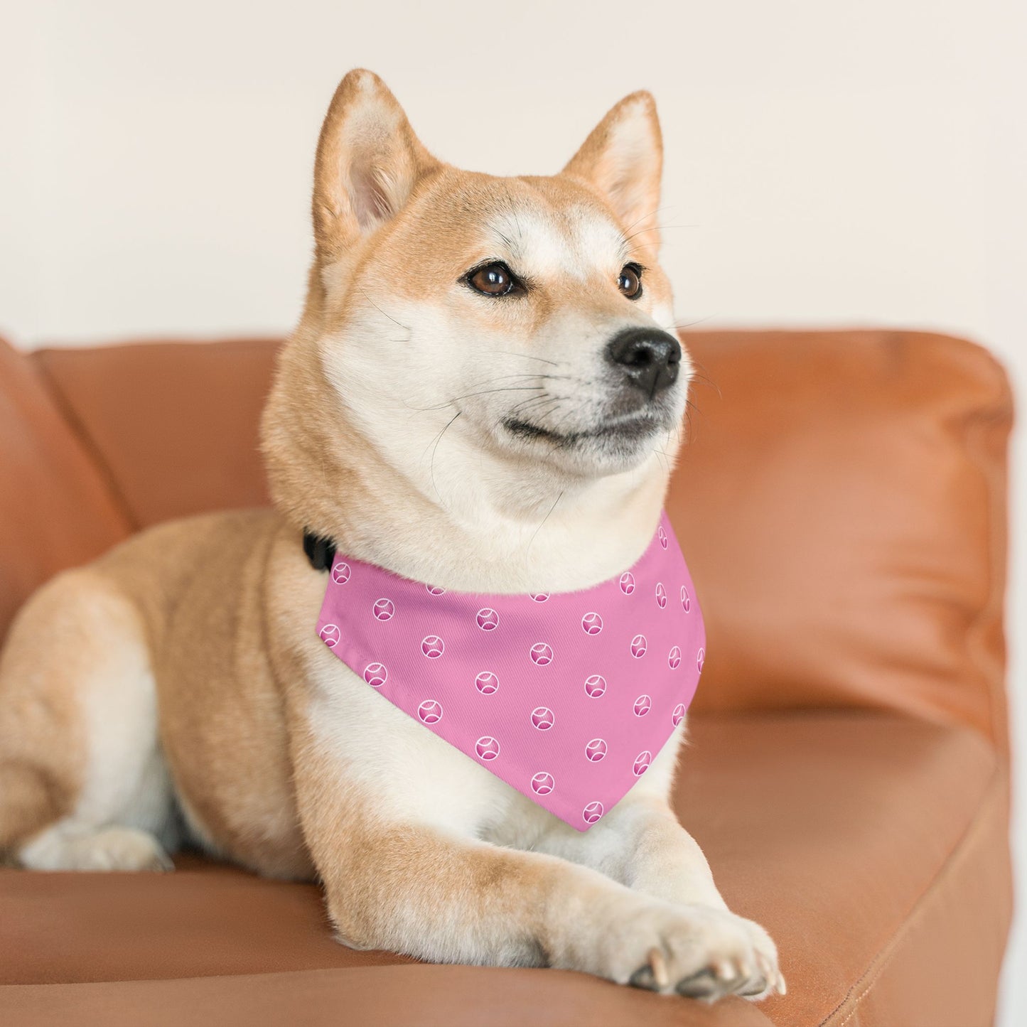 Tennis Ball Pet Bandana Collar